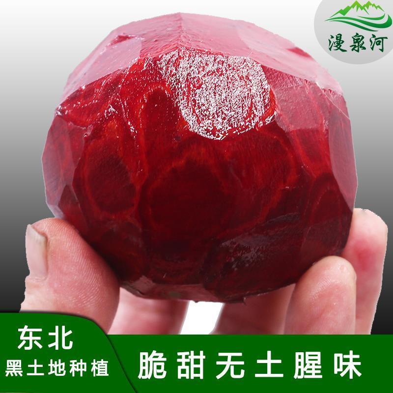 新鲜甜菜根 东北基地上市 红菜头 紫菜头 蔬菜农产品坏果必赔
