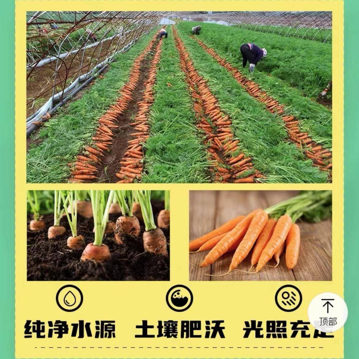 神内胡萝卜果蔬汁番茄汁蟠桃汁1L大瓶纸盒装果味饮料代餐包邮