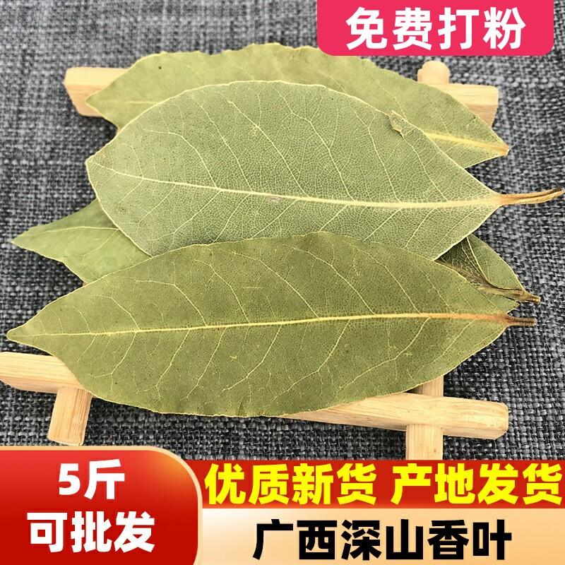 广西香叶月桂叶香料调料卤