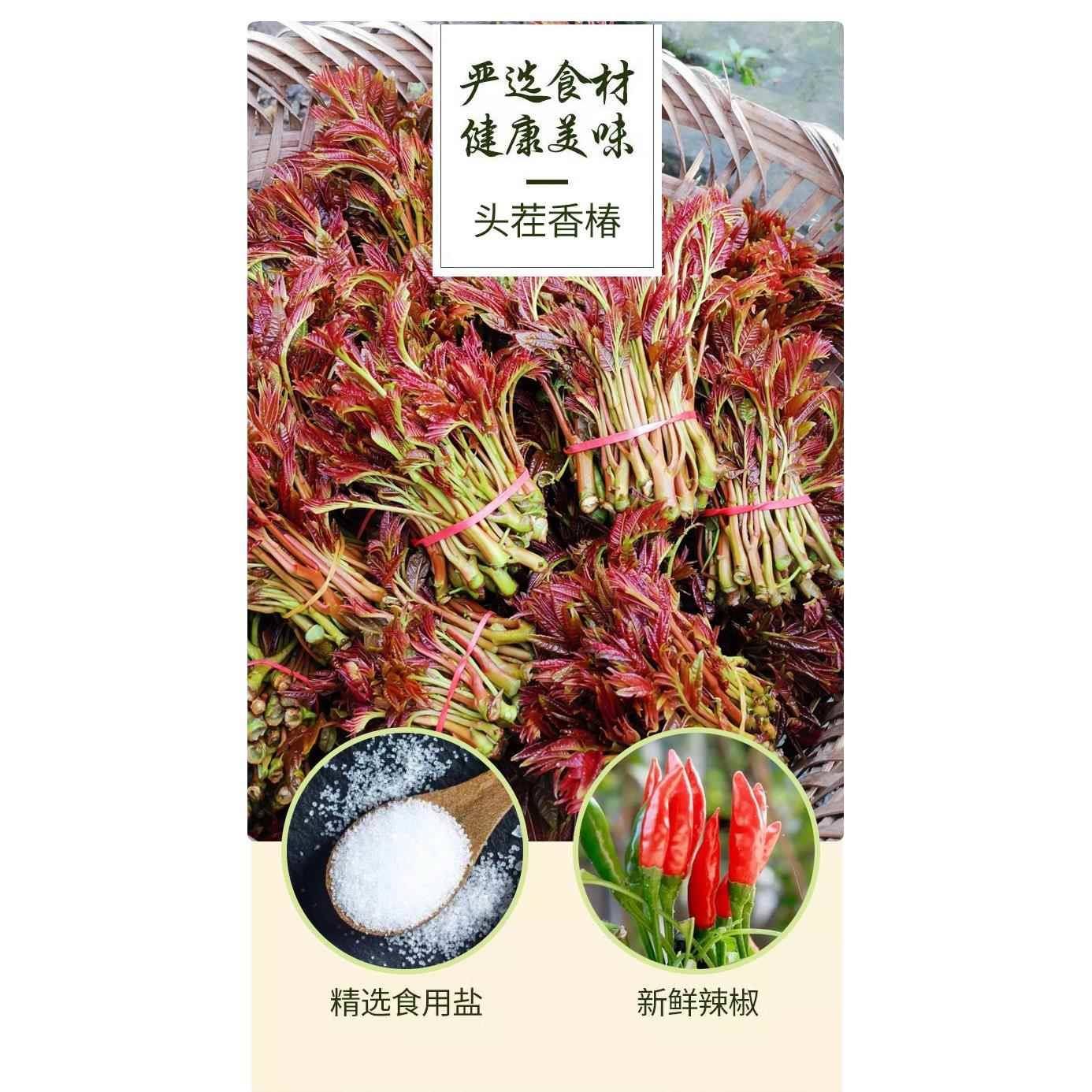 云南特产红油香椿嫩芽辣椒酱新鲜咸菜干 干菜下饭菜方便即食美食