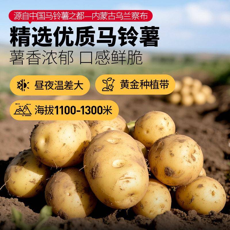 新货大希地薯饼半成品食材冷冻土豆饼空气炸锅圆薯饼官方旗舰店食