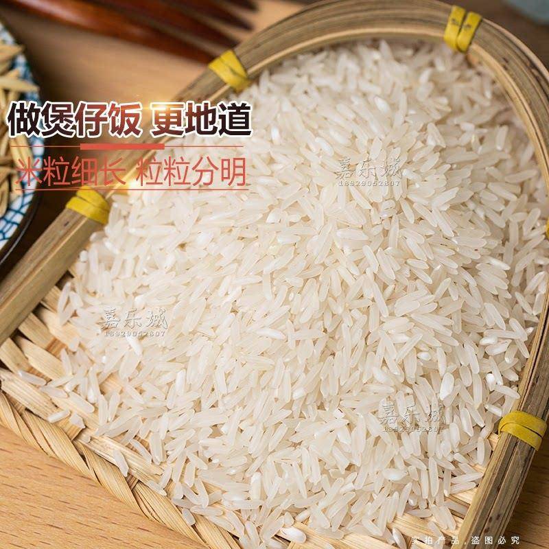 新货广东台山珍香大米一星丝苗米20斤袋装餐饮用南方籼米香油粘米