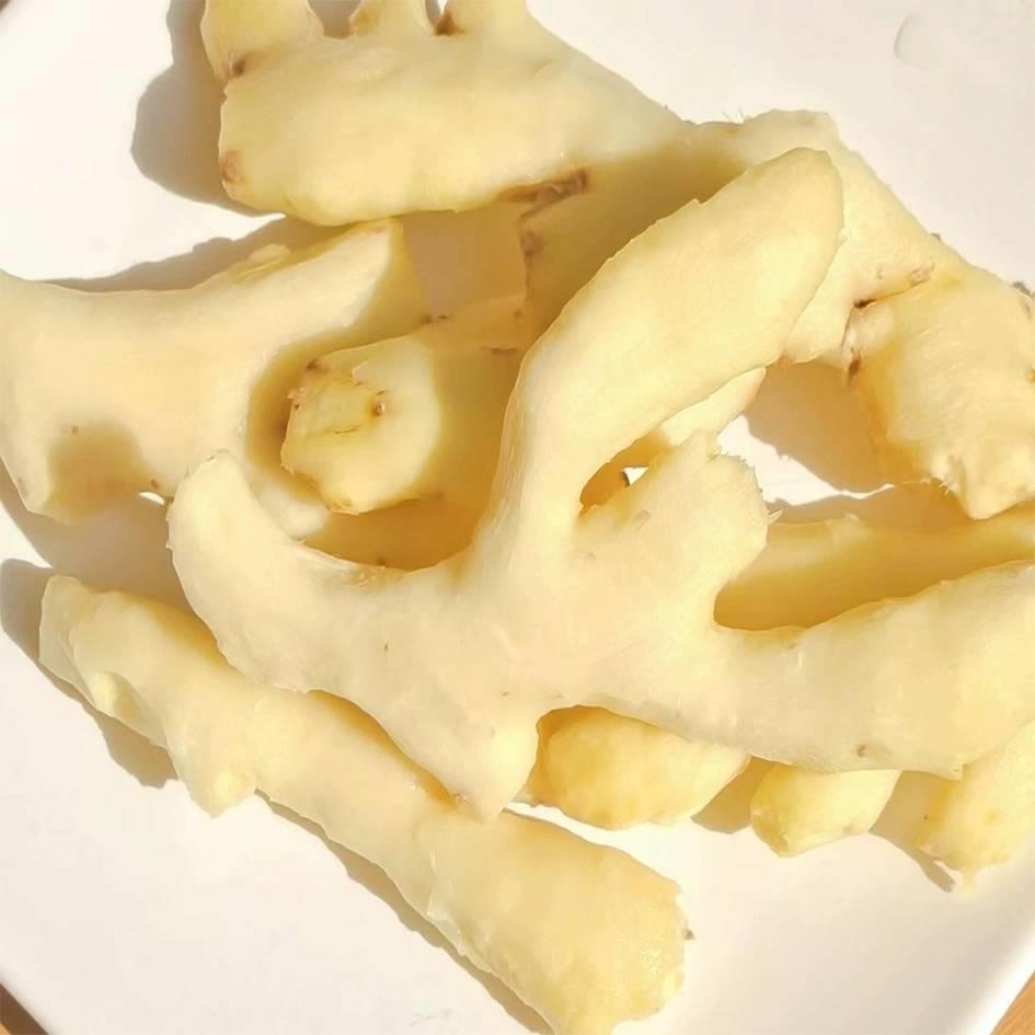 广东翁源新鲜去皮小黄姜月子姜辣味浓郁姜撞奶老姜生姜食用