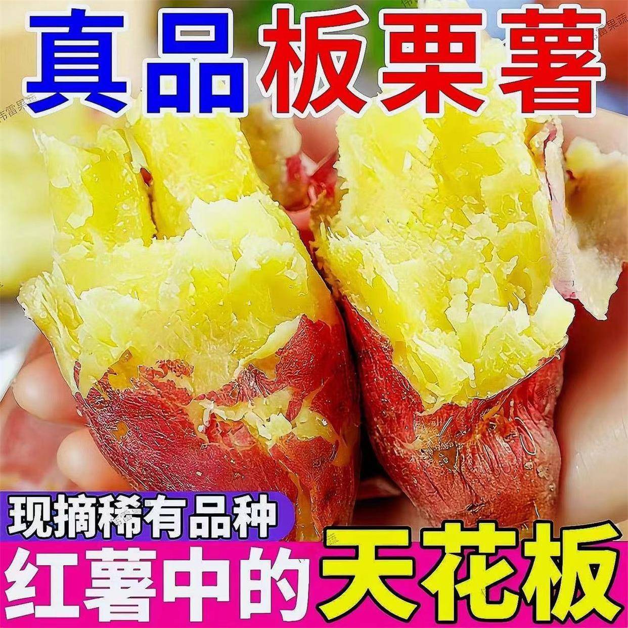 正宗陕西板栗红薯沙地蜜薯地瓜山芋头新鲜番薯甜粉糯软糯包邮