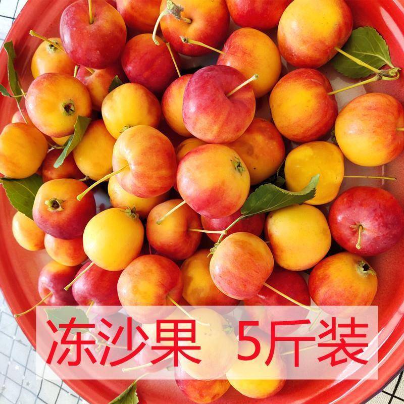 东北沙果内蒙赤峰特产果脯零食冻糖水沙果罐头糖渍沙果海棠果
