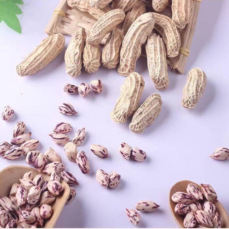 七彩花生云南特产美食新鲜烘干真空带壳彩色花生米种籽整箱