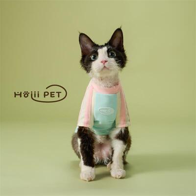 HOiiiPET校园运动风拼色T恤德文猫衣服透气无毛猫衣服夏季可爱同