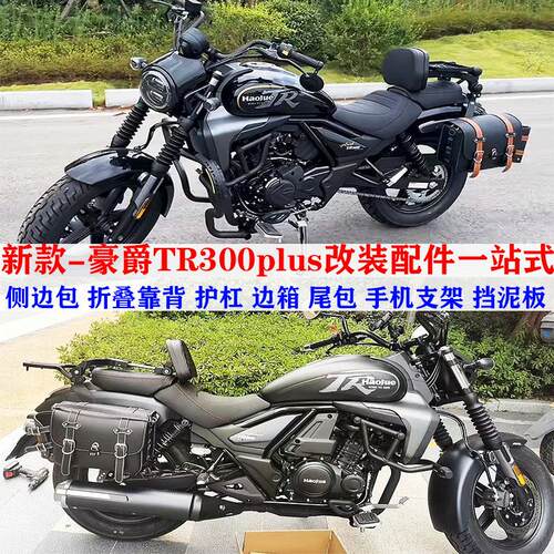 适用豪爵TR300plus边包防摔护杠侧边箱后货架折叠靠背覆古侧边包A