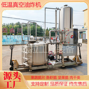坚果低温炸制机械 豆油炸设备 全自动真空油炸机 豌豆四季