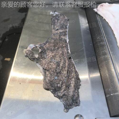 W鱼去皮机厂家HOR 牛舌去皮去筋膜机 牛加皮膜去工去皮机 小米龙