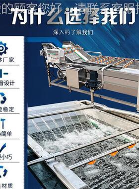 自动西红泡设柿番茄果蔬气清洗DXE机 圣女果清洗机备 千禧果清洗