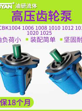 A1FL高压B1FR齿轮泵CBK1004/1006/1008/1010/1012/1016/1020/1025