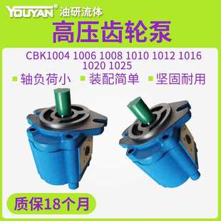 1010 1008 1012 1016 1025 A1FL高压B1FR齿轮泵CBK1004 1020 1006