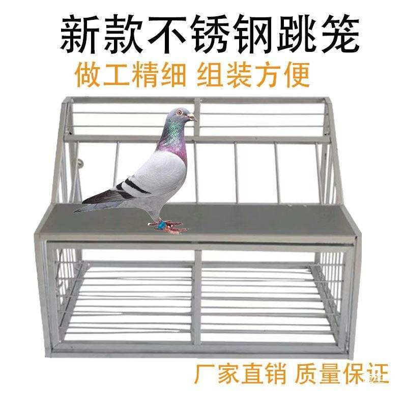 鸽子跳笼放飞门进笼门撞门跳笼铁制跳笼不锈钢跳笼鸽具信鸽垒德株