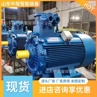 防爆外壳三相异步电机 YBUS-315掘进机用隔爆型三相异步电动机