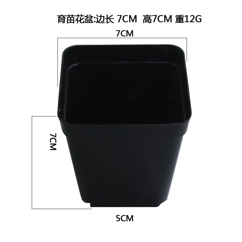 育苗盆5cm7方10方高开口透气盆小黑方多肉植物小方盆塑料花盆