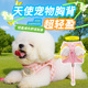 狗狗牵引绳粉色小天使翅膀背心式 小型犬防挣脱胸背宠物用品 春夏款