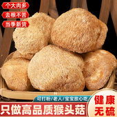 猴头菇干货官方旗舰店养粉菌500g纯胃云南非野生特级非中药材礼盒