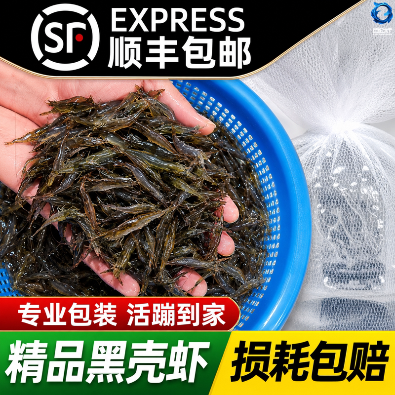 顺丰大号黑壳虾观赏虾除藻淡水清洁工具耐活好养观赏鱼宠物水晶虾