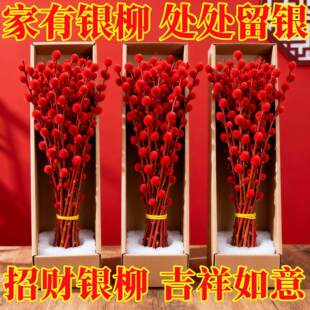 招财银柳真花鲜枝年宵花卉七彩大红色银柳干花柳枝很好养装饰摆件