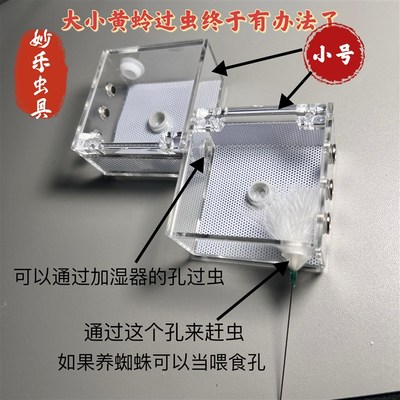 懒人虫盒升级款万体鸣虫盒大黄蛉竹蛉电报蛉跳蛛饲养盒蜈蚣饲养盒