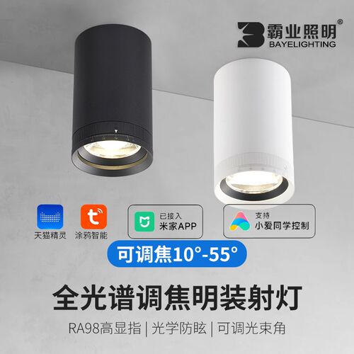 变焦明装射灯涂鸦智能聚光变光小吸D顶式沙发背景墙全光谱可调焦