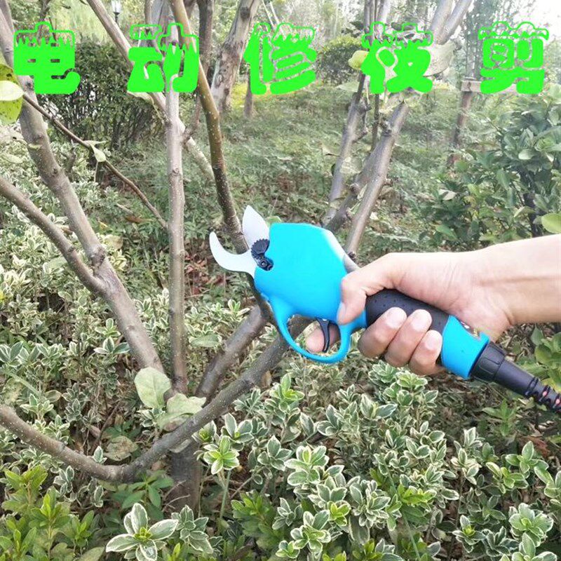 电动果树剪刀充电式n园林修枝剪便捷式葡萄枝条剪加长杆高枝剪工