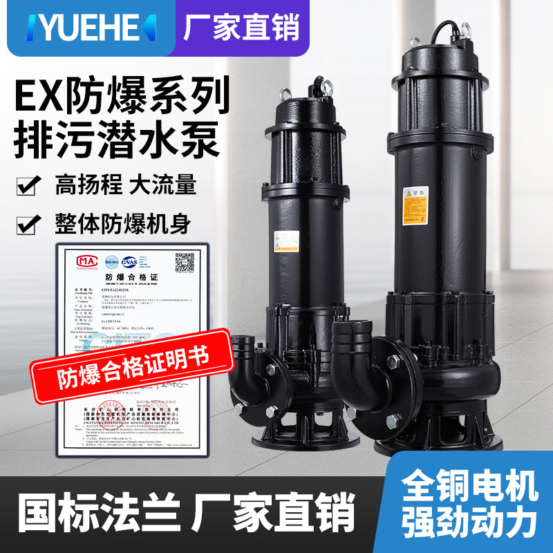 BWQ防爆潜水排污泵exr国标隔爆型潜污泵380V三相矿厂加油站集水坑