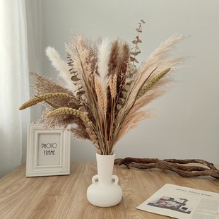 高级法式芦d苇干花花束真花装饰摆件客厅桌面民宿服装店样板间软