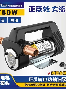正反转电动抽油泵12V24V22z0V伏自吸泵油泵直流柴油泵加油机抽油
