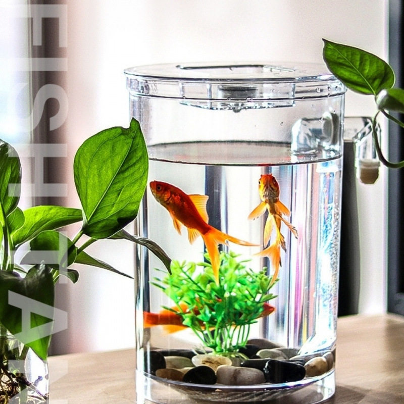 斗鱼自洁生态缸免换水桌面微景观热带鱼缸懒人水族箱套装