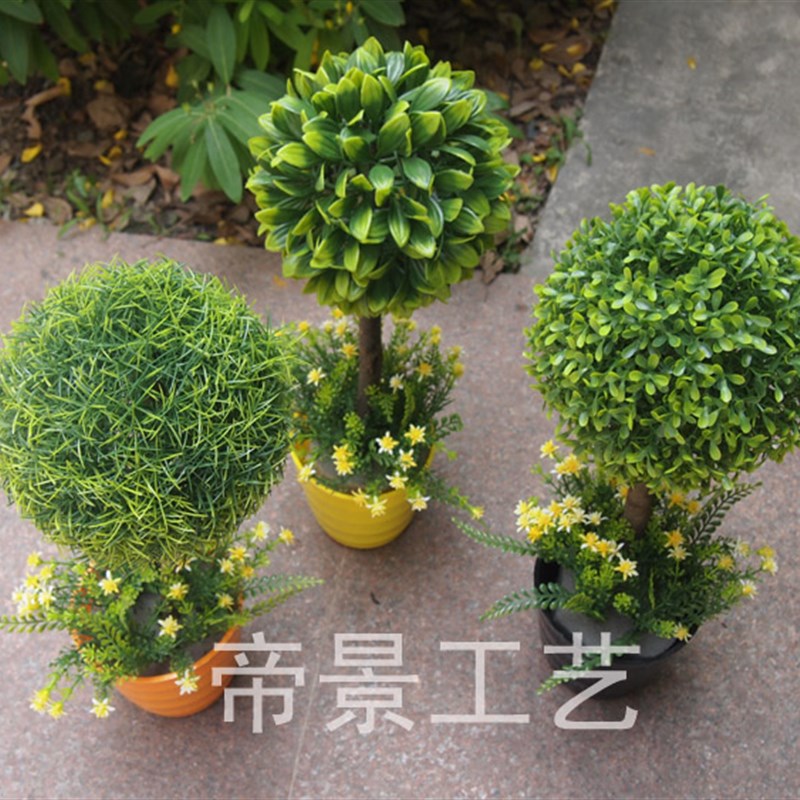 仿真小植物假盆景盆栽小草球米兰套J装配小花.摆放花卉窗台