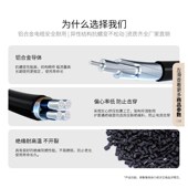 江南J铝合金J电缆 平方室外光伏线