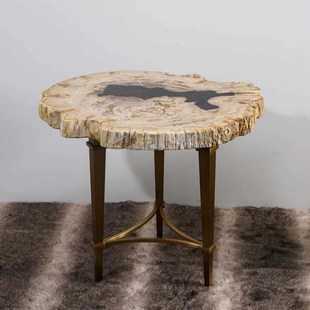 硅化木茶几小桌面设计师家具现代客厅装饰风格小边桌轻奢边几摆件