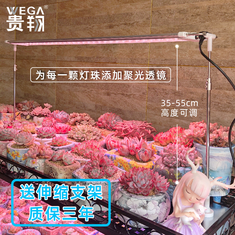 贵翔多肉补光灯Plu版 上色全光谱家用LED植物生长灯室内仿太阳光