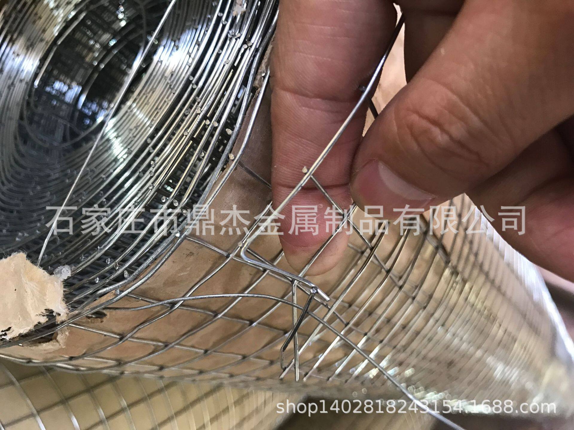 电焊网铁丝网PVC浸塑料镀锌电焊网源头好商源头好货