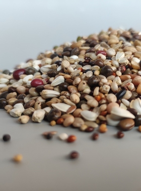 鸽粮50斤包邮喷窝无玉米粒红高粱小颗粒喂食幼鸽信鸽鸽子粮食20斤