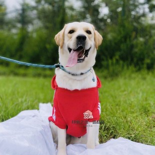 罗威纳专用狗狗秋冬季衣服宠物大型犬大狗四脚护肚卫衣防掉毛冬款