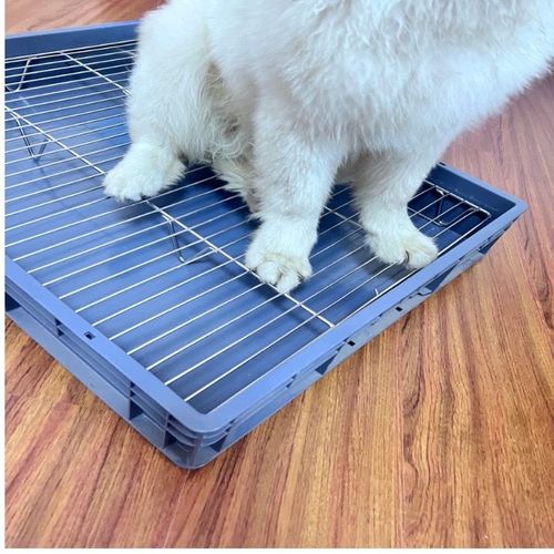 定制大型犬狗厕所加高304不锈钢厕所架子防吃屎狗便盆不湿脚尿盆