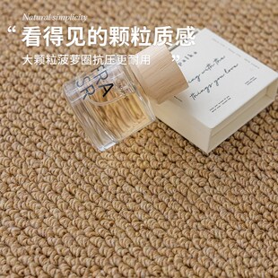 仿剑麻拱形地垫入户门垫防猫抓可裁剪进门地毯猫抓板门口蹭脚垫子