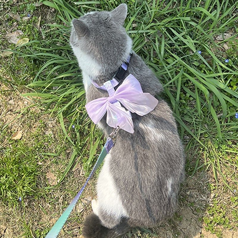 猫咪溜猫绳工字式防挣脱牵引绳外出专用公主风溜狗可调节宠物用品,宠物/宠物食品及用品,猫牵引绳,淘宝优惠券,粉丝福利购,淘宝优惠卷
