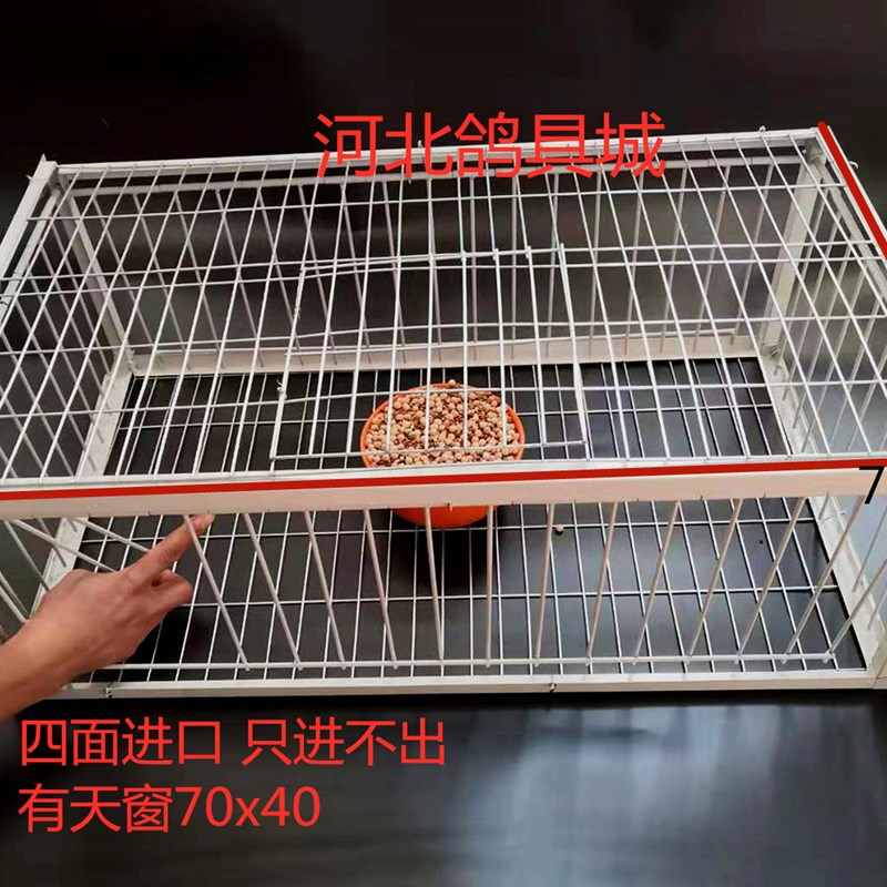 鸽子撞门鸽子活络门笼撞门鸽笼铁笼只进不出跳笼天落笼撞门自动门