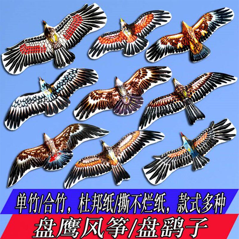 潍坊风筝a盘鹰盘鹞子风筝京式手绘盘鹰双盘鹰126cm盘鹞子风筝包