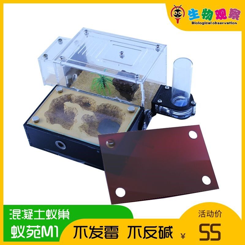蚂蚁生态箱混凝土平面蚁巢学生宠物E蚁后繁殖窝超大型工坊可拓展