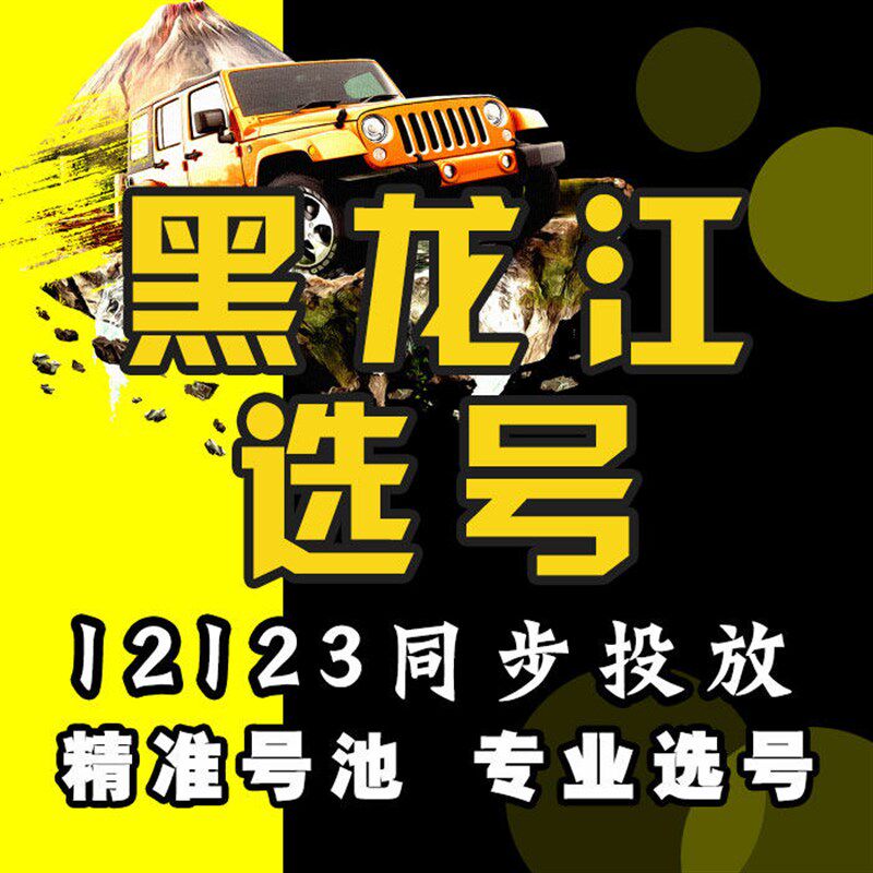 黑龙大庆伊春佳木斯七台河牡丹江黑河车牌选号自选自X编查询数据