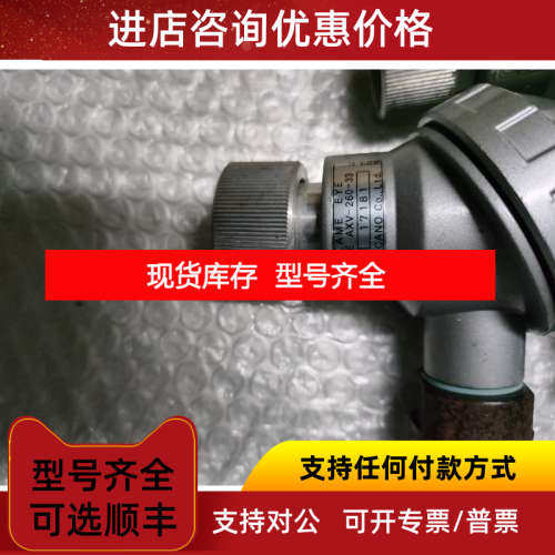 FLAME EYE AXV-260-33 17181眼温度传感器