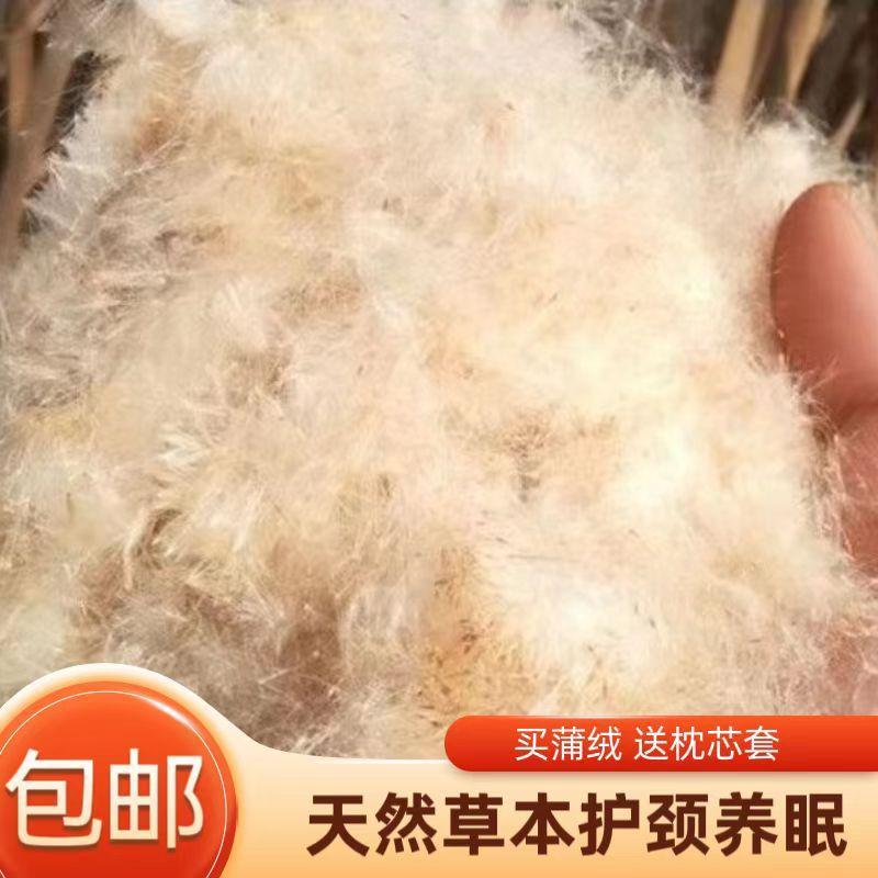 野生香蒲绒护颈保健枕头蒲绒枕芯蒲棒蒲絮水蜡烛填充物配枕芯套