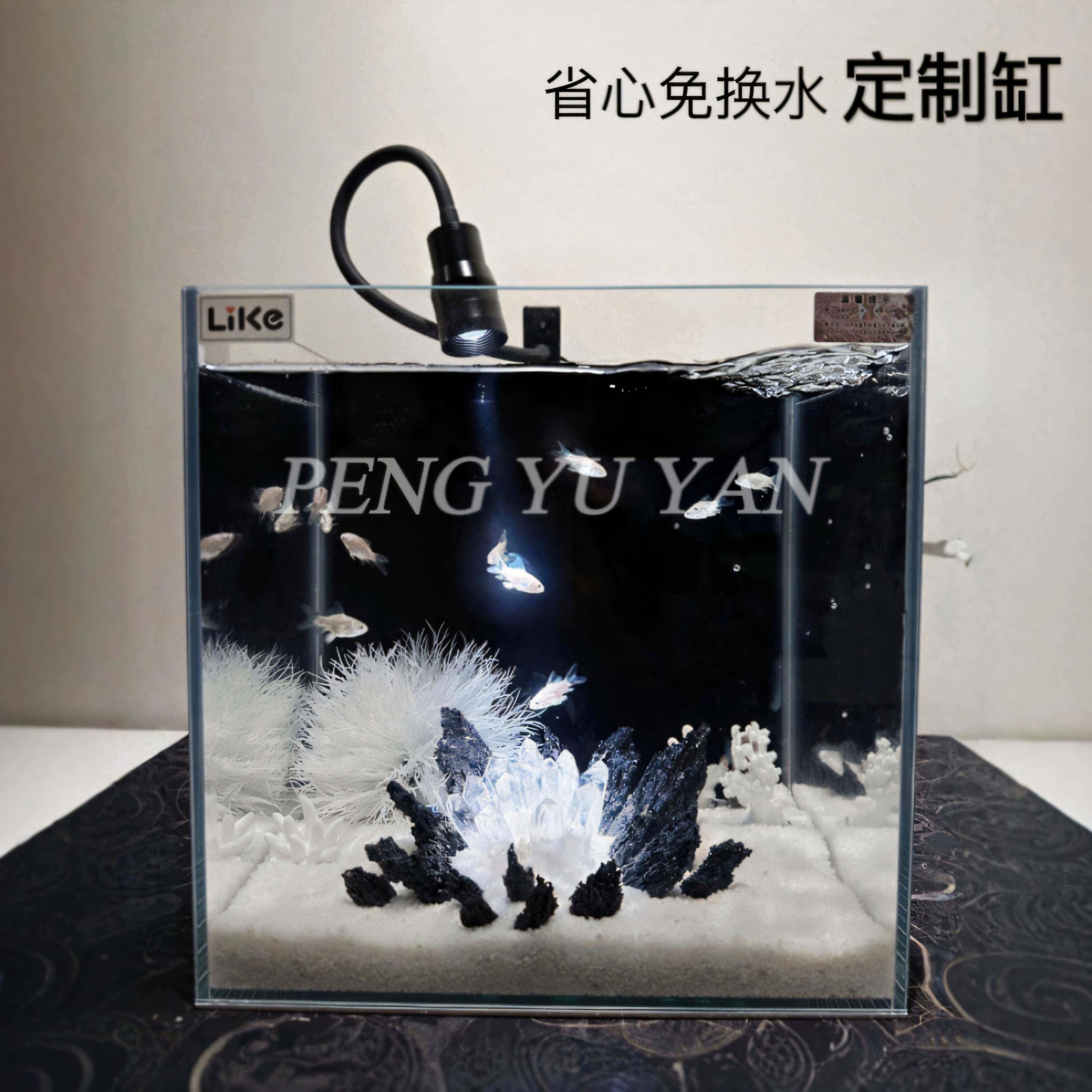 泰国斗鱼专用缸造景套餐免换水桌面玻璃缸小夜灯超白生态养鱼缸
