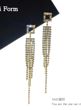 Anti FormS925银针轻奢流苏耳环爆款百搭高级感气质耳钉耳饰女