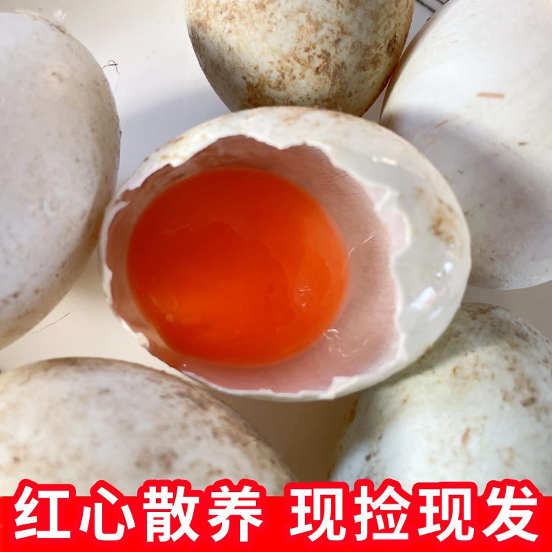 微山湖生鸭蛋新鲜散养土鸭蛋正宗红心湖里放养现捡绿皮青皮麻鸭蛋,水产肉类/新鲜蔬果/熟食,鸭蛋,淘宝优惠券,粉丝福利购,淘宝优惠卷